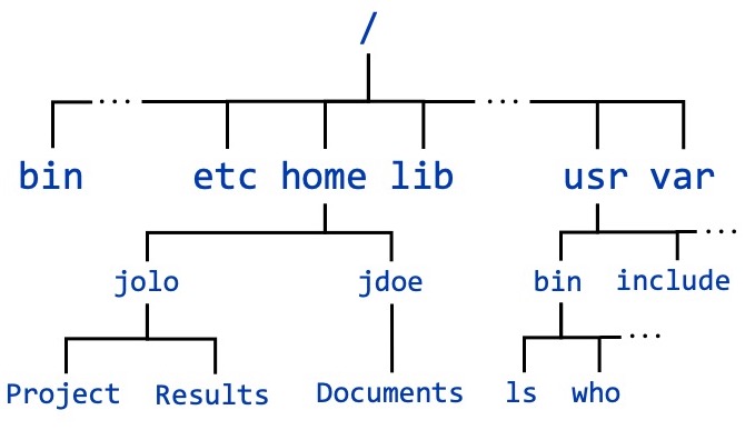Linux directory structure. The directory structure is a tree with / being the top-level folder. From Cornell virtual workshop